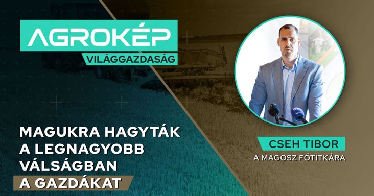 Soha nem látott agrárválság Magyarországon: már a nagy gazdaságok tartalékai is elfogytak – tömegesen hagyhatnak fel a gazdálkodással