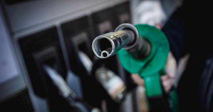 Üzent a székháza előtt tüntető kiskutasoknak a Mol: egyértelművé tette álláspontját az olajtársaság – „ez mindannyiunk közös érdeke”