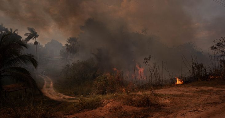 Az El Niño nem válogat: lángba és füstbe borult a világ legnagyobb esőerdője, súlyos veszélyben egy 2 milliós város