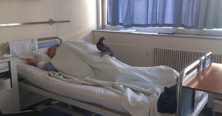 Ágyak lennének, de nincs elég ápoló – válságkezelés a budapesti kórházakban