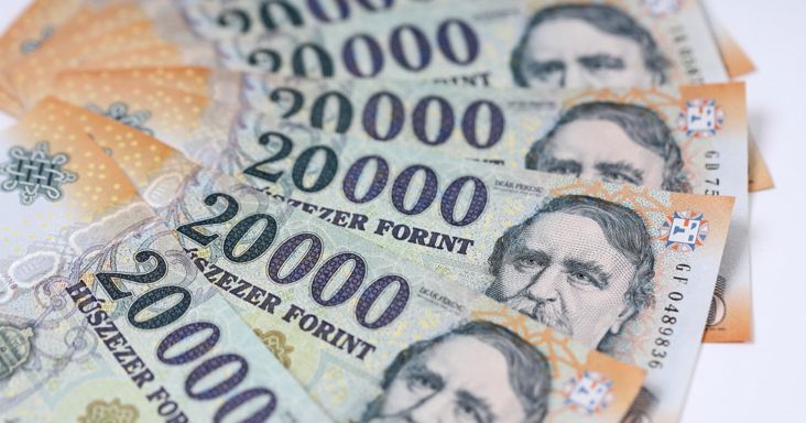 Öt komoly feltételt kell teljesítenie Magyarországnak az euró bevezetéséhez