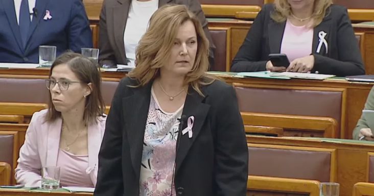„Paraszt!” – kiabálta egy tiszás képviselő az ellenzéki képviselők felé a parlament ülésén