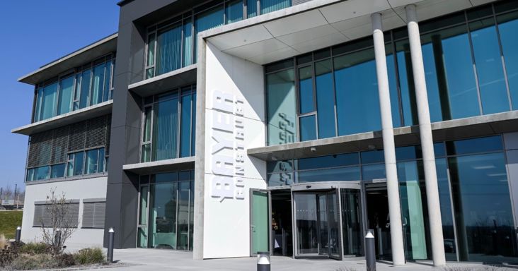 Asztalra tette friss számait a csőd felé tartó Bayer Construct