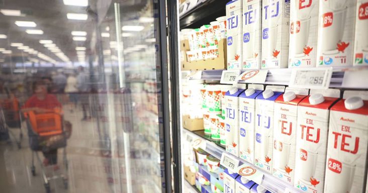 Meglepő helyzetben a magyar tej: többet termelnek a tehenészetek, mégis kevesebbet keresnek