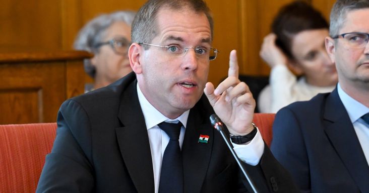 Ruff Bálint a rákhoz hasonlította Orbán állami pénzből teremtett holdudvarát