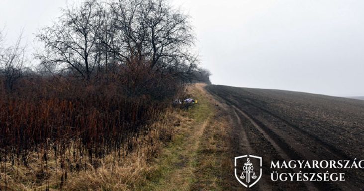 25 évre emelték a sárisápi rém büntetését – jogerős döntés született