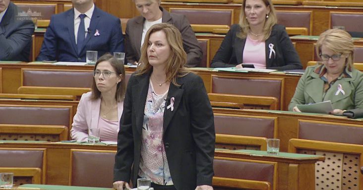 Már a gombnyomás is gondot okoz? Újabb tiszás képviselő kért segítséget