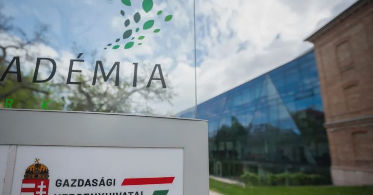 Napelemes kartell ellen intézkedett a GVH, 9 millió forint bírságot szabtak ki