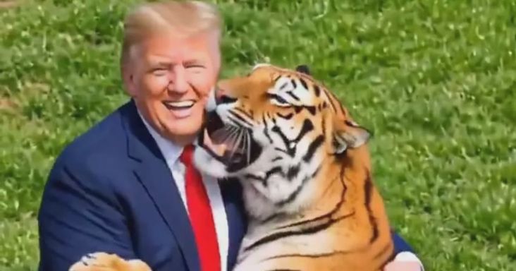 Donald Trump újabb AI-videója kiverte a biztosítékot, a halálos tigristámadásról posztolt
