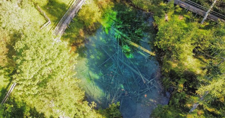 Különleges tengerszem pislog Karintia meserétje mellett