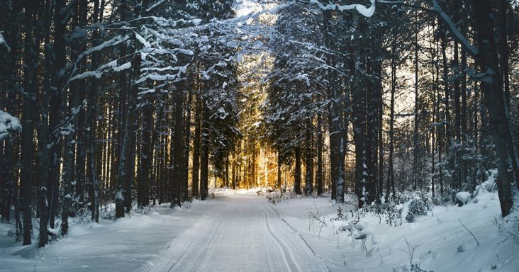 Lőttek a fehér karácsonynak? Kiderült, mennyi hóra számíthatunk idén télen