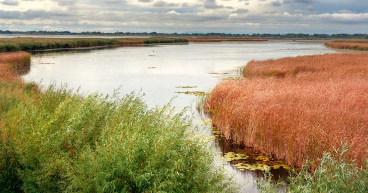 Fél éven át rögzítették a pusztító aszályt a Tisza-tónál: elkeserítő látványt nyújt a kiszáradó tómeder + Videó