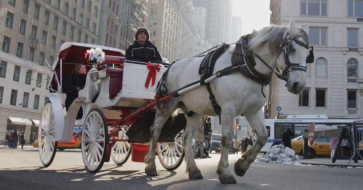 Halálos baleset után tilthatják be New York egyik legismertebb turistalátványosságát