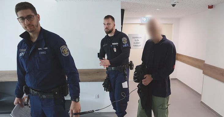 Anyagyilkosság Szentendrén: Letartóztatták a gondnokolt B. Andrást