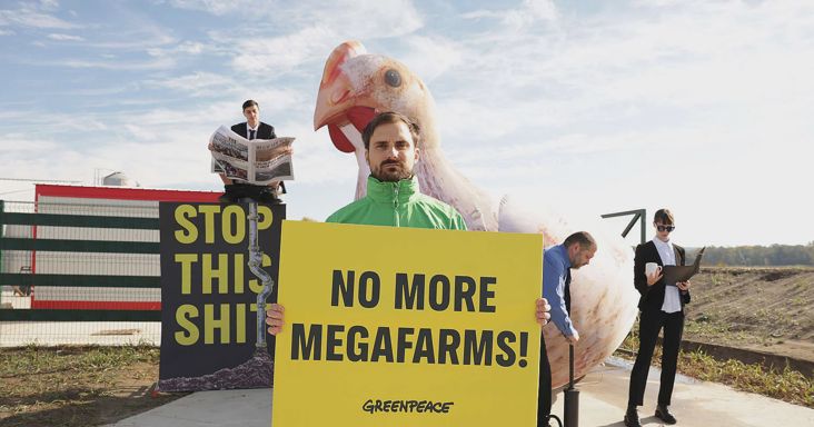 „Állítsátok meg ezt a szart!” – A magyar határnál épült horvát csirkefarm miatt akciózott a Greenpeace