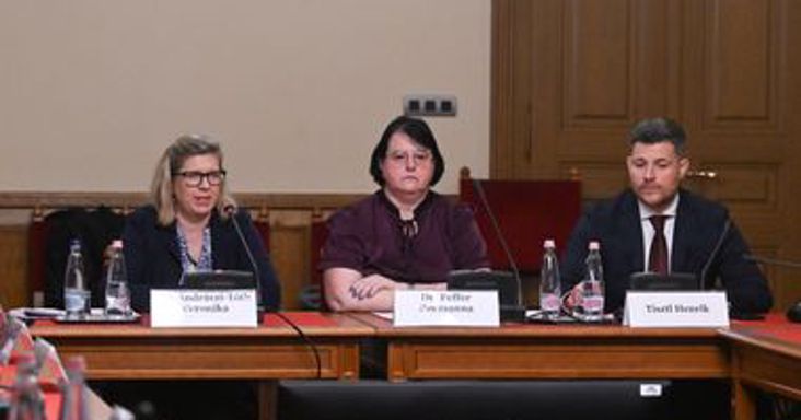 Melléthei-Barna Márton felszólította a KDNP-s Juhász Hajnalkát, hogy mondjon le a bizottsági tagságáról