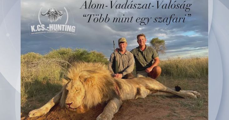 Afrikai luxusvadászata miatt bukja bizottsági posztját a tiszás képviselő