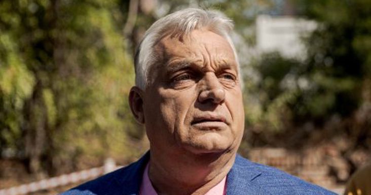 DPK: Nem kértük fel előadóként Ferencz Orsolyát