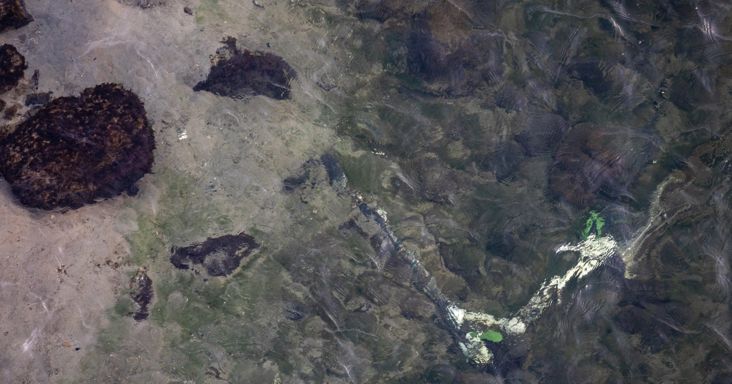Valakiknek nagyon elegük lehetett már az e-rolleresekből