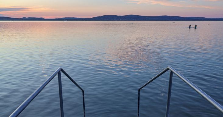 Brutális pusztítást végeztek egyetlen markolóval a Balatonnál – Teljesen megsemmisült a védett nádas, egy ritka teknős is megsérült