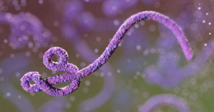 Újabb országban bukkant fel az ebola