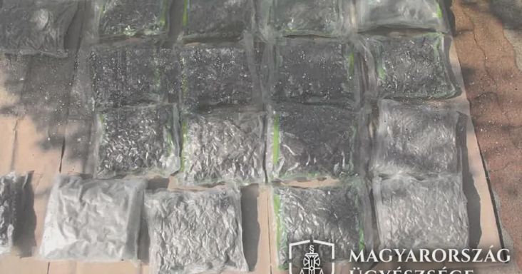Kecskeméti parkolóban csaptak le a droghálózatra, furcsa helyen vezették a tartozásokat - videó