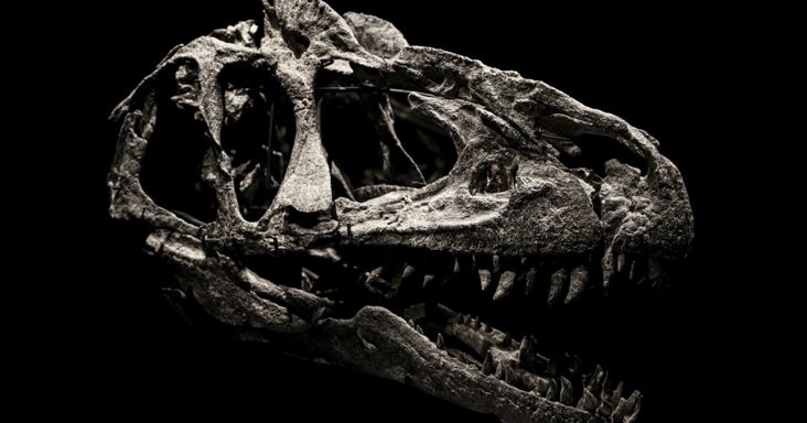 Elfeledett fosszíliából azonosítottak új dinoszauruszfajt a kutatók, lett volna tőle félnivalónk