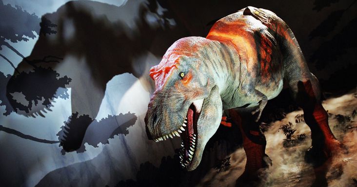 Elfeledett koponyamaradványból azonosítottak új dinoszauruszfajt kutatók