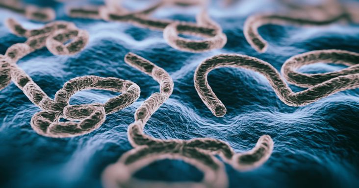 Amitől mindenki tartott – Afrika legnépesebb országába is betört az ebola