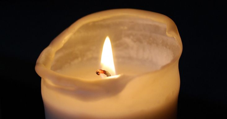 Tragikus eredménye lett a kutatásnak