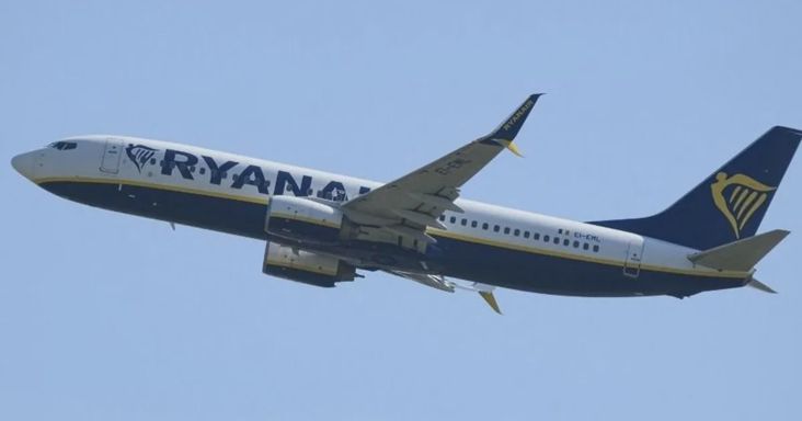 Rendkívüli helyzet a budapesti repülőtéren: perceken belül két Ryanair-gép is madárral ütközött