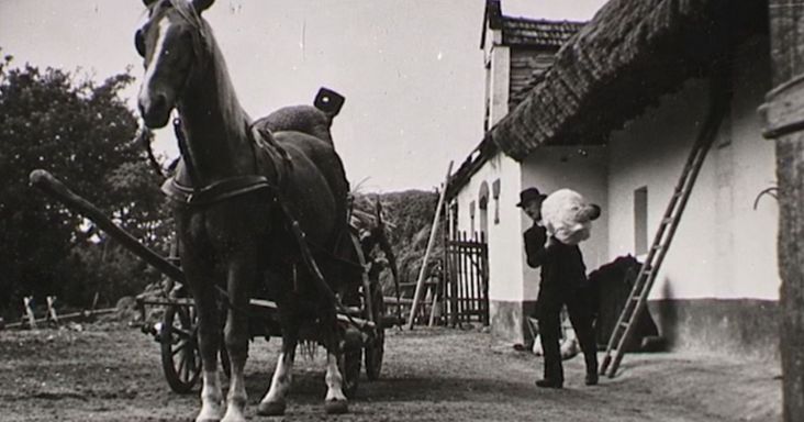 74 éves filmhíradó őrzi a régi Pápa emlékét (+ videó)