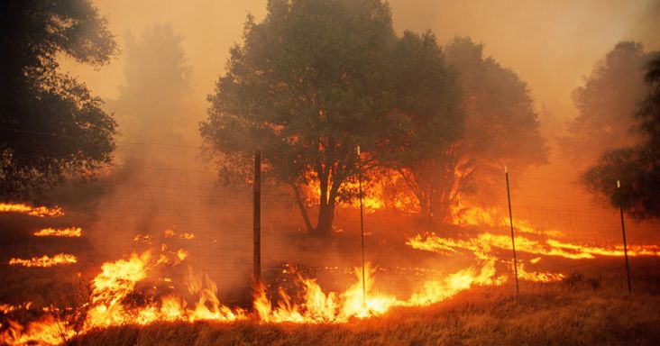 Hónapok óta tombol a megállíthatatlan tűzvész: kénytelen nemzetközi segítséget kérni a 300 milliós ország