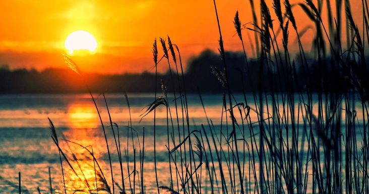 Elképesztő, mit tettek a Balatonnál egy lakópark miatt