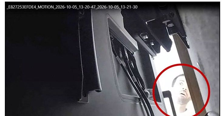 Az OpenAI szaúdi alkalmazottja vécépapírba csomagolt poloskát rejtett el a vállalat irodájában