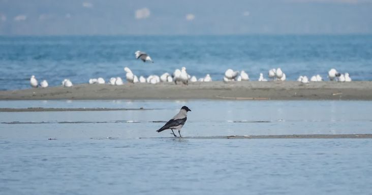 Nagy változás jön a Balatonnál – Vitézy Dávid jelentette be a jó hírt