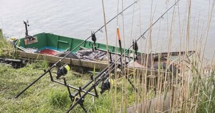Azt sem tudta, mit fogott ki a balatoni horgász, a szákolásnál jött a meglepetés
