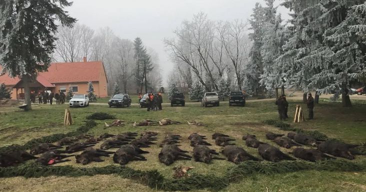 Az állatvédők a mi hazánkos Dócs Dávidot javasolják az Országos Magyar Vadászati Védegylet élére