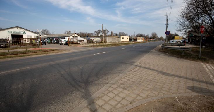 Tényleg jávorszarvast fotóztak Debrecenben? Fotó es videó a cikkben!