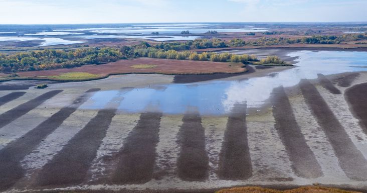 Szinte rá sem lehet ismerni a Tisza-tóra, brutális nyomokat hagyott az aszály – drámai fotók
