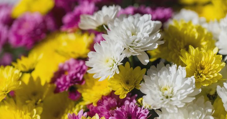 Meglepő árakkal készül a Lidl: már 499 forintért is vásárolhatunk