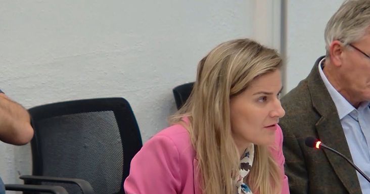 A Kutyapárt támogatásával bejutott képviselő kezdeményezte a hegyvidéki önkormányzat feloszlatását