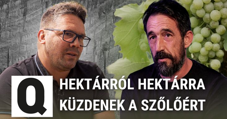„Várod a darálógépet, hogy jöjjön legyalulni, ami még megmaradt”